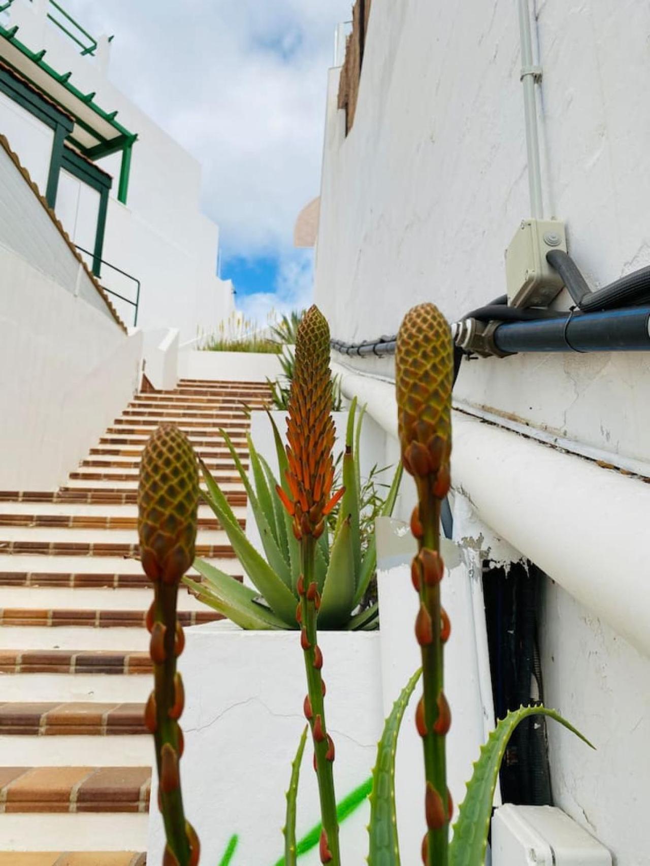 Tenerife.365 Atalaya Court II Sunset Ocean View Costa Adeje  Esterno foto